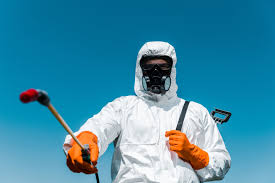 Trusted Chipley, FL Pest Control Experts